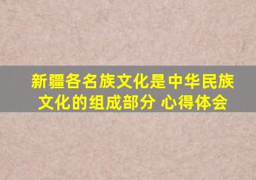 新疆各名族文化是中华民族文化的组成部分 心得体会